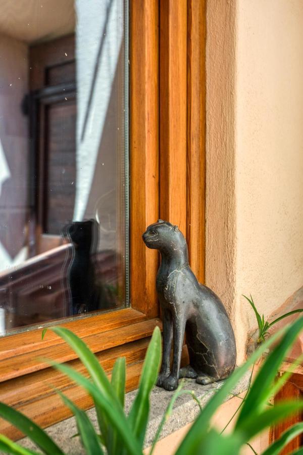 Maggiore 145 Apartment With Private Garden - Rione Monti Rome Buitenkant foto